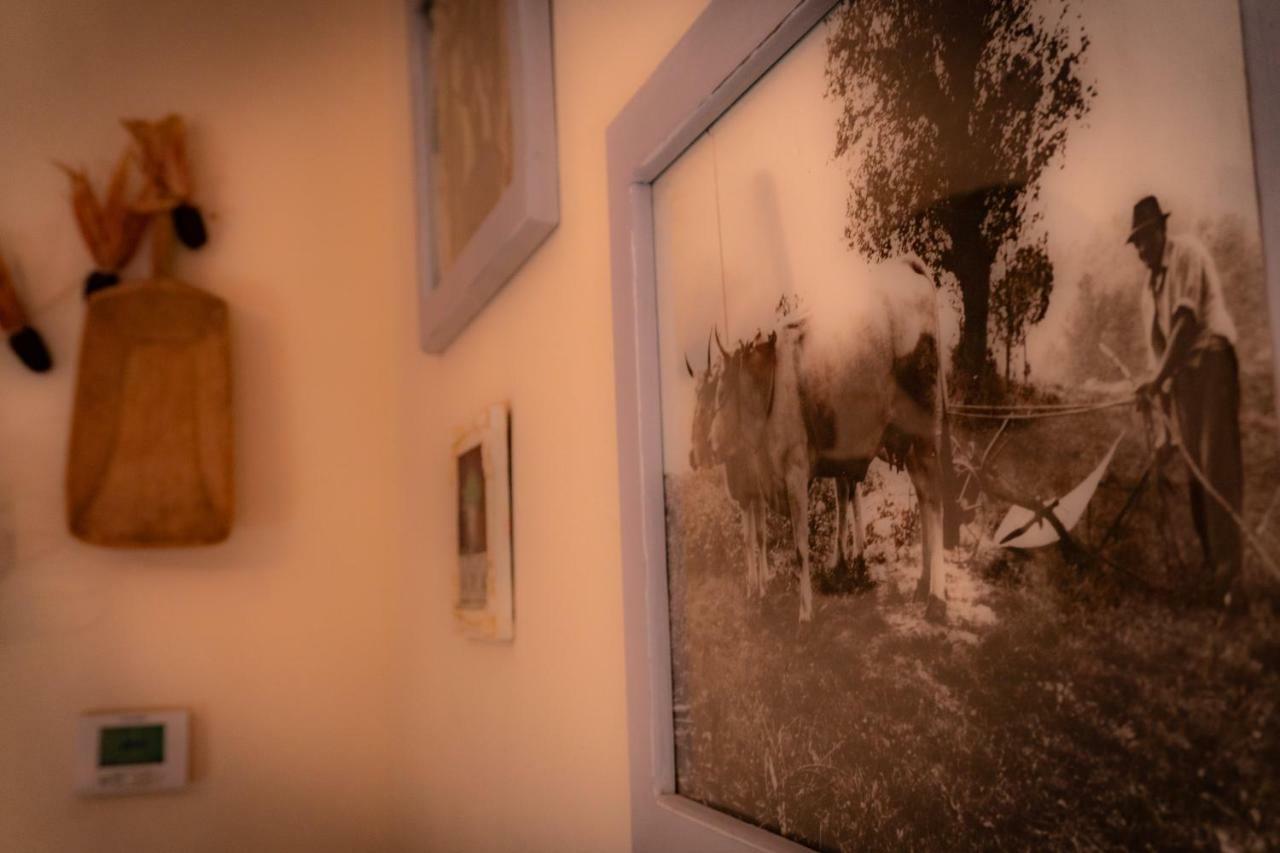 Agriturismo Le Capannacce Urbania Zewnętrze zdjęcie