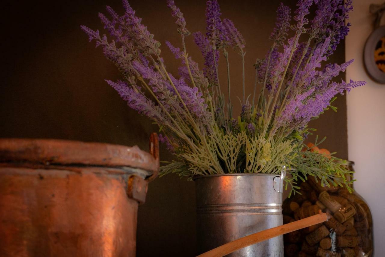 Agriturismo Le Capannacce Urbania Zewnętrze zdjęcie